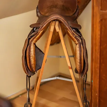 Gæstehus Dawny Dom *