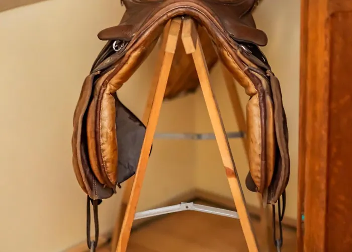 Guest house Dawny Dom *