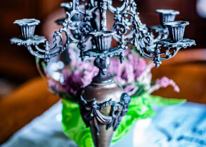 Guest house Dawny Dom